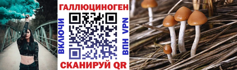 Псилоцибиновые грибы прущие грибы  Десногорск 